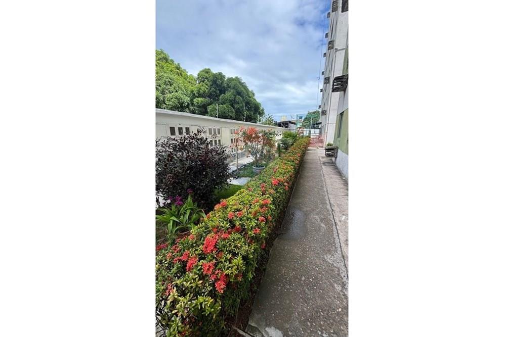 Apartamento - Venda - Jaboatão dos Guararapes , Pernambuco - WhatsApp Image 2025-07-02 at 11.51.06 (3).jpeg - 850251100-1