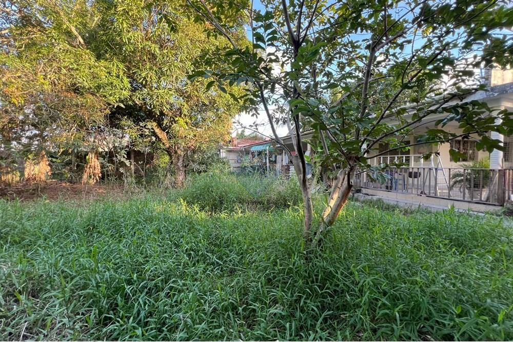 Chácara / Sítio / Fazenda - Venda - Maceió , Alagoas - 3c32ecd5-9d29-42bb-ac5c-92387b154b50.jpg - 850271213-2