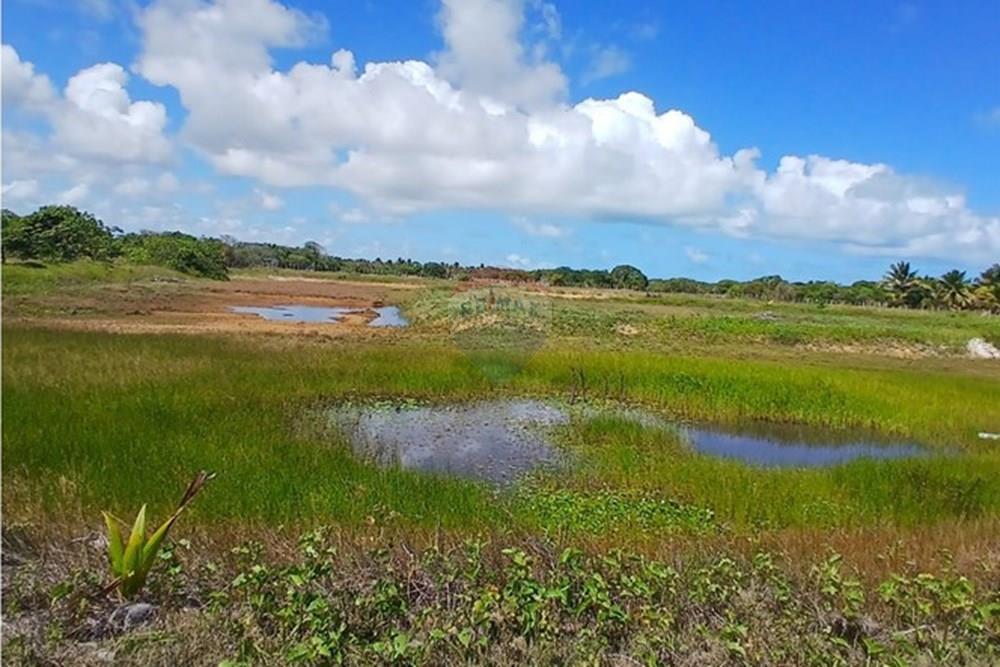 Chácara / Sítio / Fazenda - Venda - Piaçabuçu , Alagoas - IMG-20250221-WA0103.jpg - 850271205-15