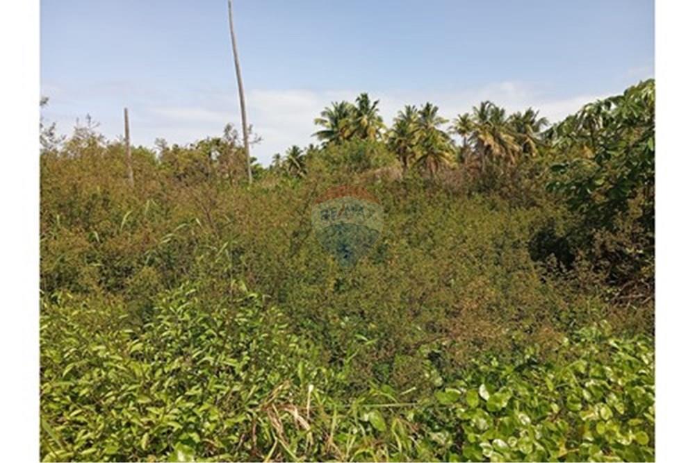 Terreno - Venda - São Miguel dos Milagres , Alagoas - L_04694b30-5eb7-4afa-b4cd-3123df7db44a.jpg - 850271222-9