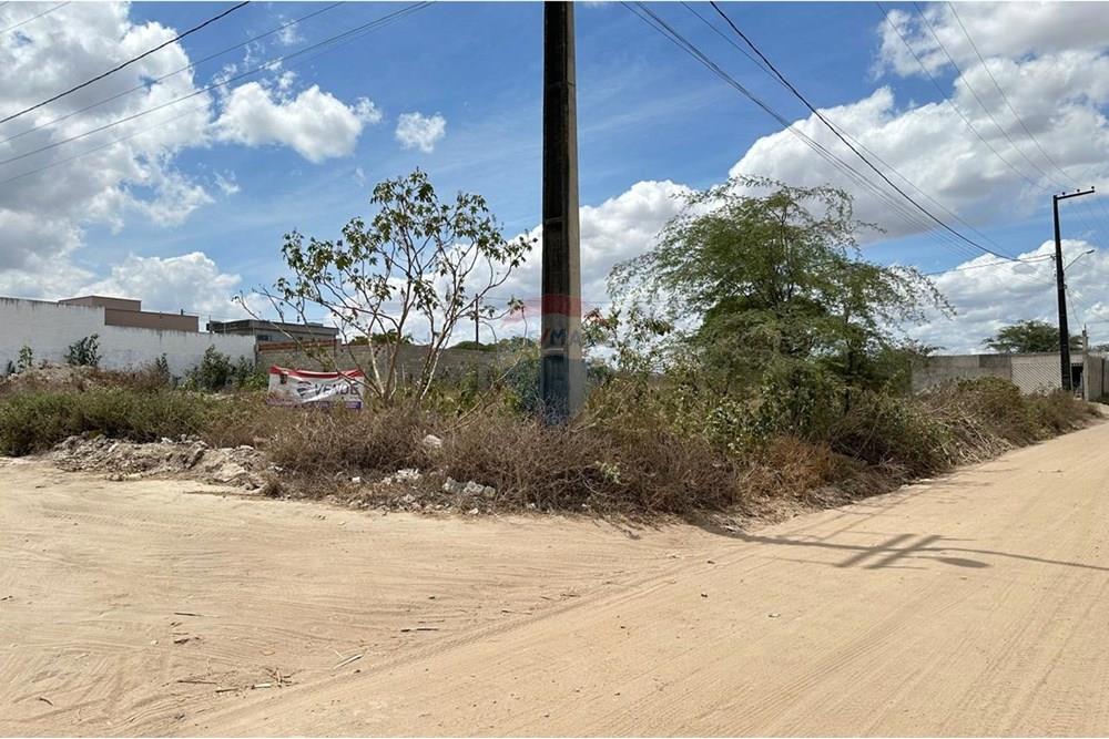 Terreno - Venda - Lajedo , Pernambuco - WhatsApp Image 2024-12-03 at 21.00.07 (6).jpeg - 850131003-359