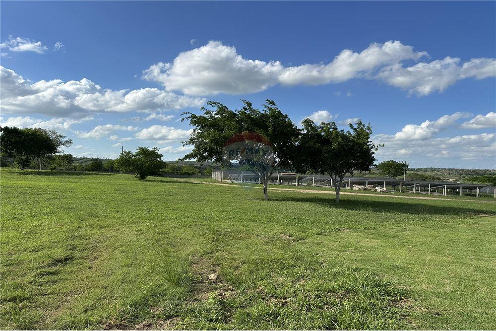 Casa de Condomínio - Venda - Sairé , Pernambuco - 69 - 850171001-208