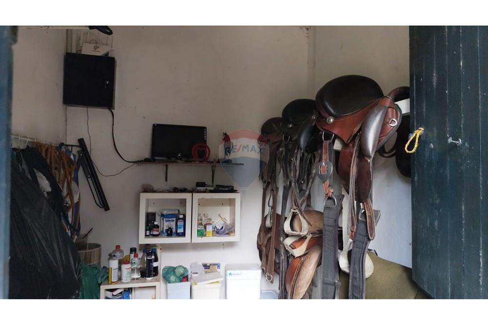 Chácara / Sítio / Fazenda - Venda - Maceió , Alagoas - HARAS25.jpg - 850141043-95