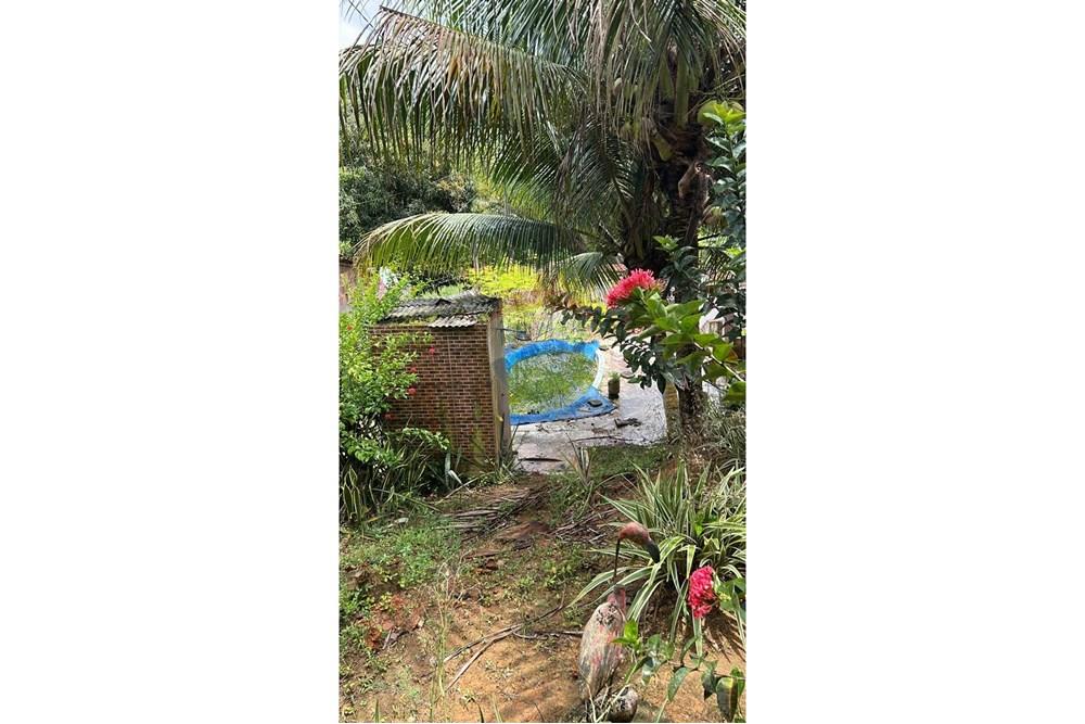 Casa de Campo - Venda - Cabo de Santo Agostinho , Pernambuco - WhatsApp Image 2025-03-13 at 15.10.55 (2).jpeg - 850281036-66