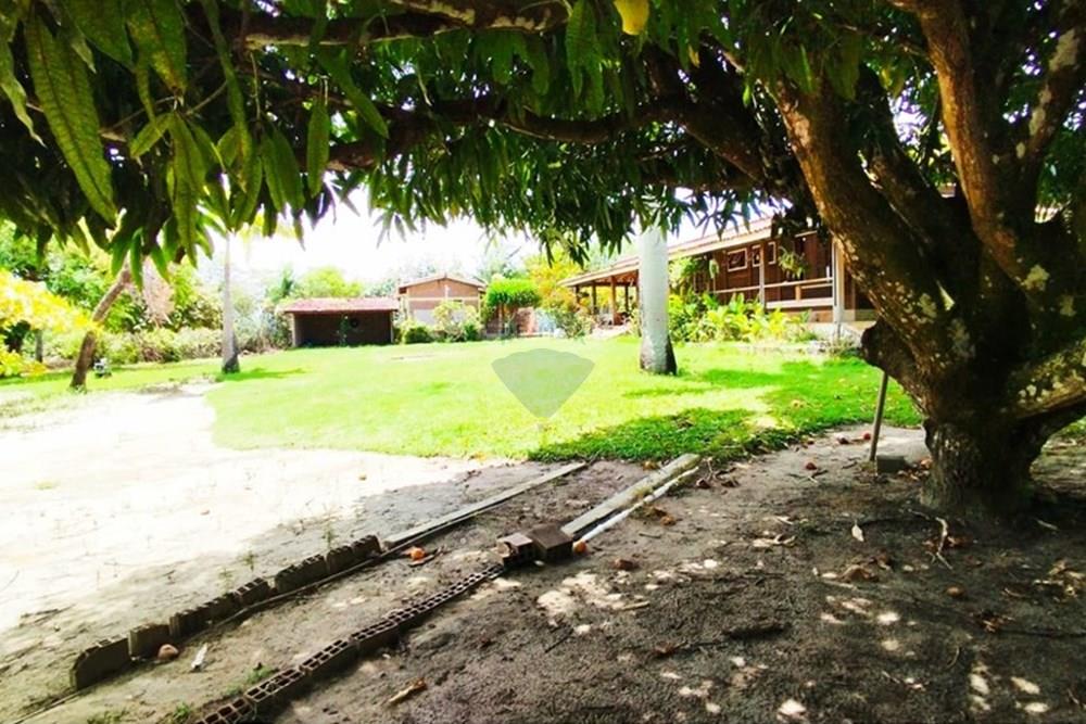 Chácara / Sítio / Fazenda - Venda - Igarassu , Pernambuco - WhatsApp Image 2025-01-23 at 15.12.01 (2).jpeg - 850071019-161