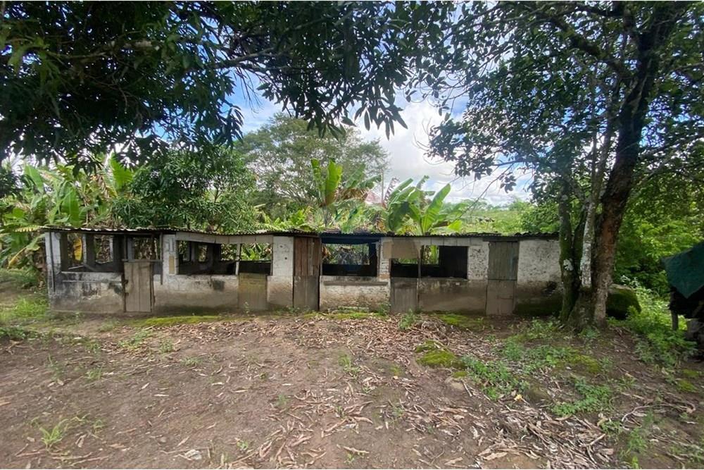 Chácara / Sítio / Fazenda - Venda - Boca da Mata , Alagoas - IMG-20250716-WA0069.jpg - 850641022-68