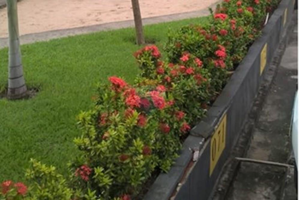 Apartamento - Venda - Recife , Pernambuco - WhatsApp Image 2025-06-20 at 11.37.10 (1).jpeg - 850301025-45