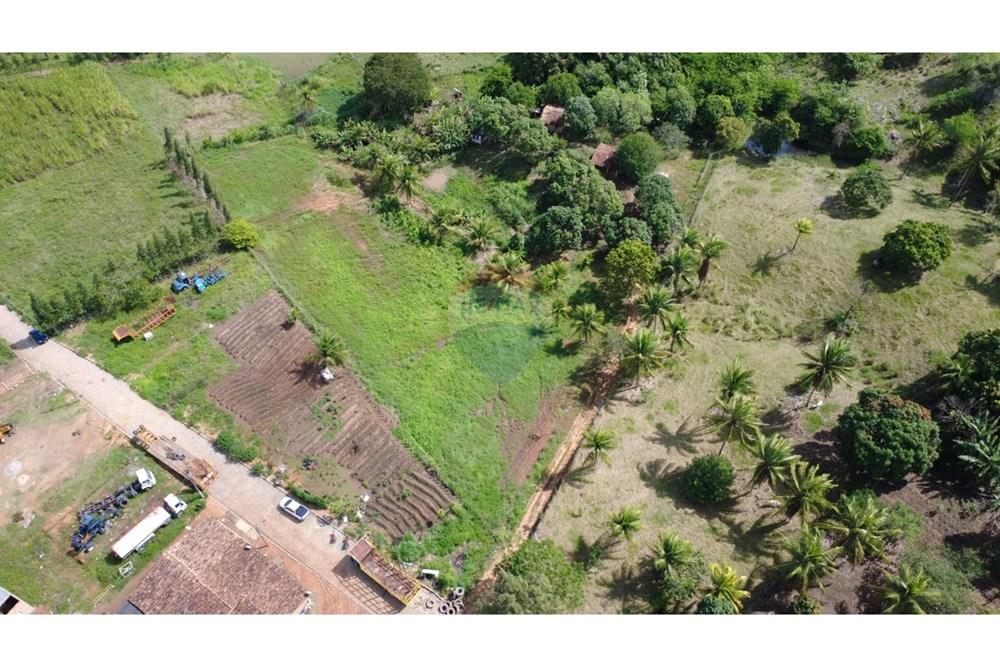 Chácara / Sítio / Fazenda - Venda - Boca da Mata , Alagoas - IMG-20250625-WA0289.jpg - 850641022-68