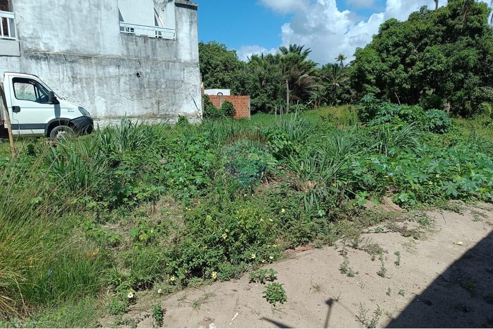 Terreno - Venda - Porto de Pedras , Alagoas - TERRENO LINDA 36.jpg - 850141002-102