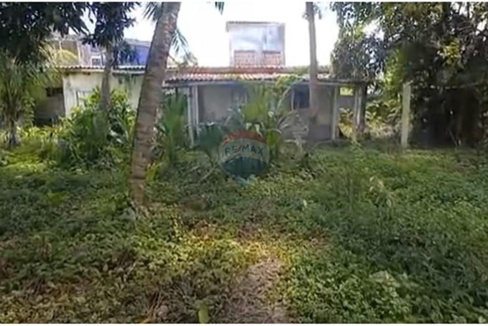 Terreno - Venda - Jaboatão dos Guararapes , Pernambuco - Foto dentro do terreno V.jpg - 850601020-8