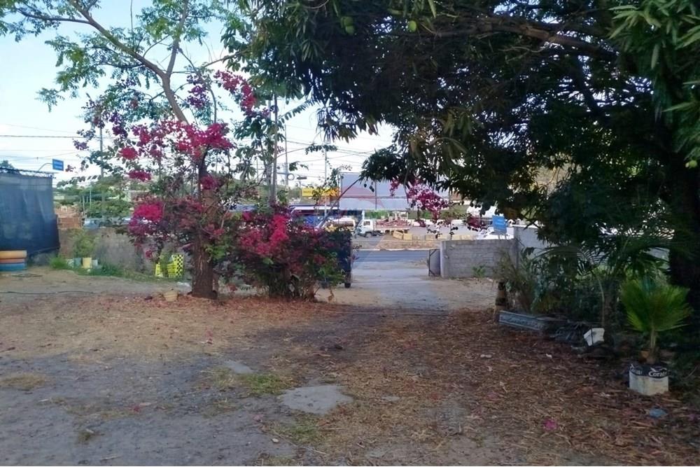 Terreno - Venda - Paulista , Pernambuco - WhatsApp Image 2024-11-30 at 16.35.15.jpeg - 850721002-53