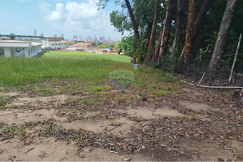 Terreno - Venda - Olinda , Pernambuco - WhatsApp Image 2025-03-16 at 14.33.01.jpeg - 850721002-140