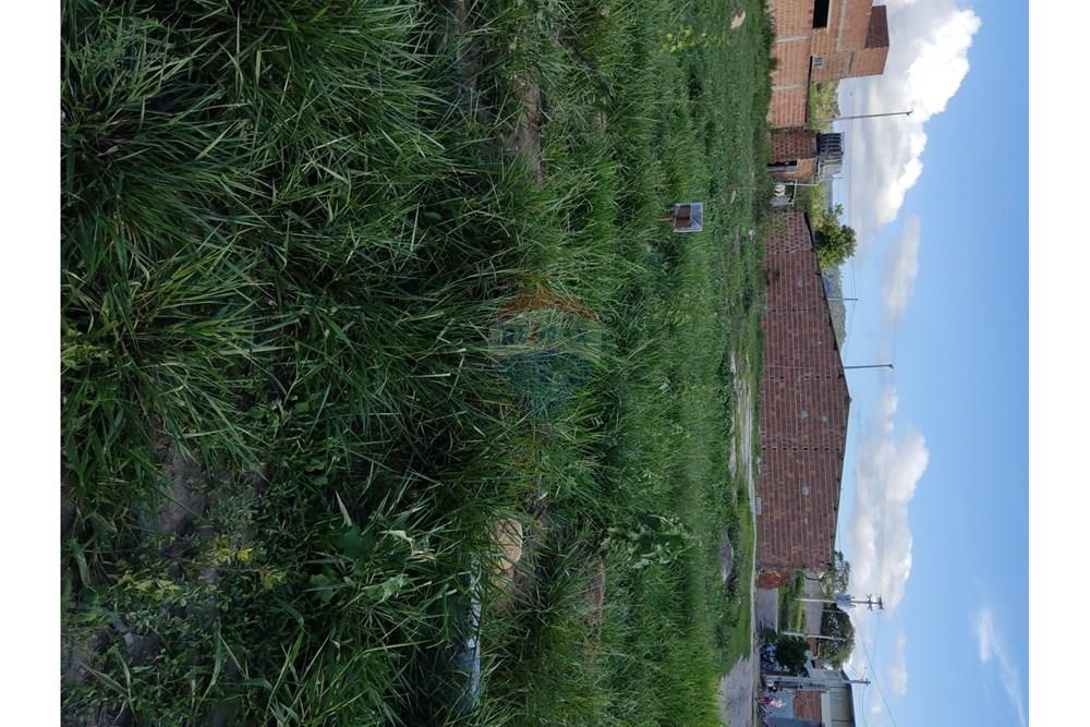 Terreno - Venda - Bonito , Pernambuco - WhatsApp Image 2025-03-10 at 08.44.21 (1).jpeg - 850051012-95