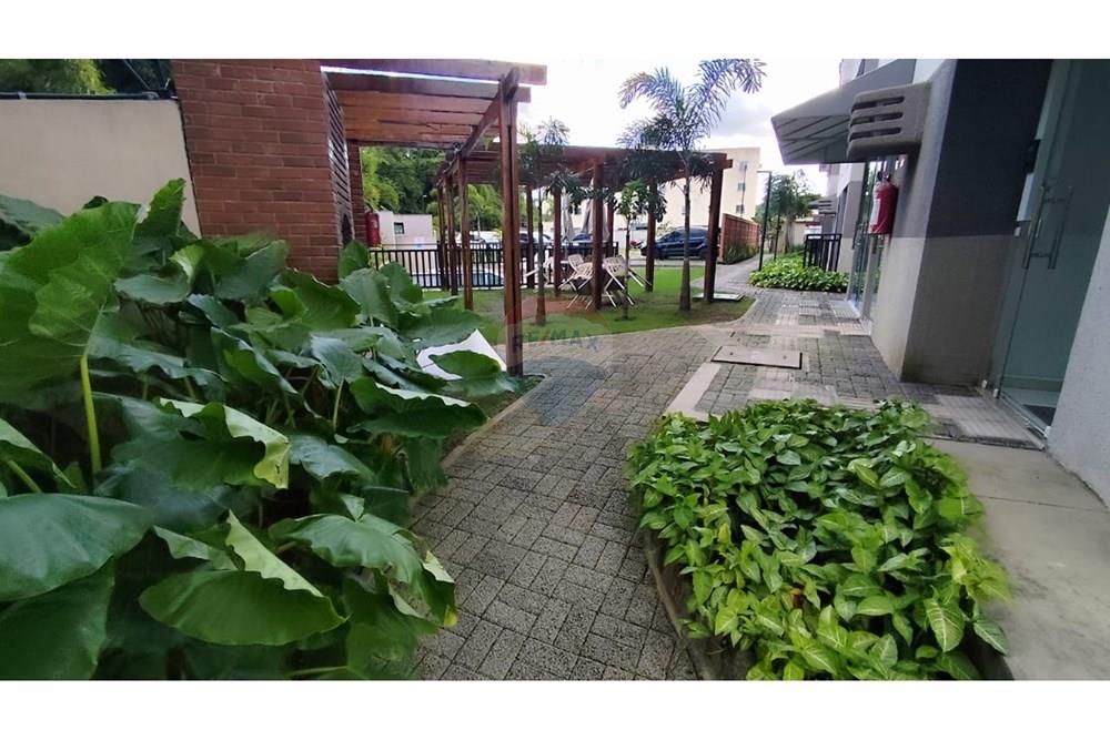 Apartamento - Venda - Recife , Pernambuco - Imagem do WhatsApp de 2025-08-18 à(s) 20.51.25_a714e937.jpg - 850191024-481