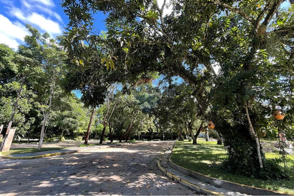 Casa de Campo - Venda - Recife , Pernambuco - IMG_3601.jpeg - 850251083-112