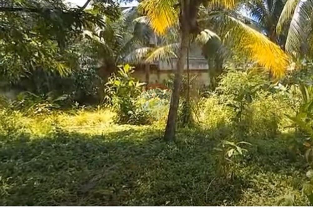 Terreno - Venda - Jaboatão dos Guararapes , Pernambuco - Foto dentro do terreno X.jpg - 850601020-8