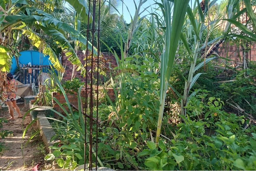 Terreno - Venda - Maceió , Alagoas - TERRENO JOAO 16.jpg - 850141002-98