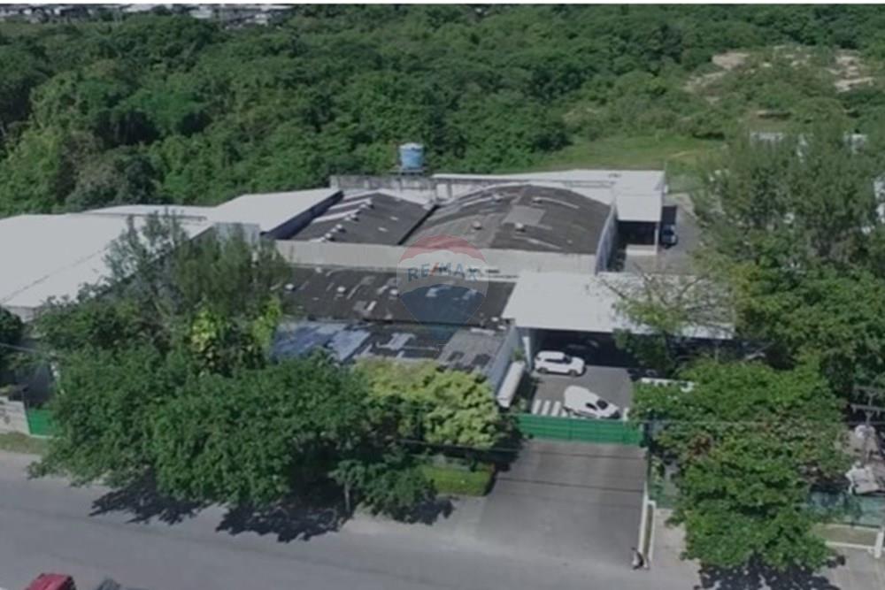 Industrial - Alugar - Recife , Pernambuco - WhatsApp Image 2025-09-05 at 11.49.45.jpeg - 850071019-211