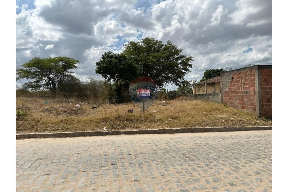 Terreno - Venda - Lajedo , Pernambuco - WhatsApp Image 2024-12-03 at 15.00.04 (5).jpeg - 850131003-356