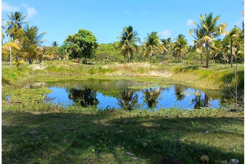 Chácara / Sítio / Fazenda - Venda - Piaçabuçu , Alagoas - IMG-20250221-WA0132.jpg - 850271205-15