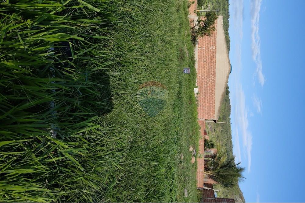Terreno - Venda - Bonito , Pernambuco - WhatsApp Image 2025-03-10 at 08.43.29 (1).jpeg - 850051012-96
