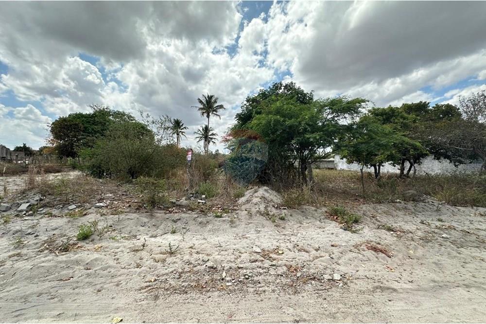 Terreno - Venda - Lajedo , Pernambuco - WhatsApp Image 2024-12-03 at 15.52.46 (4).jpeg - 850131003-358