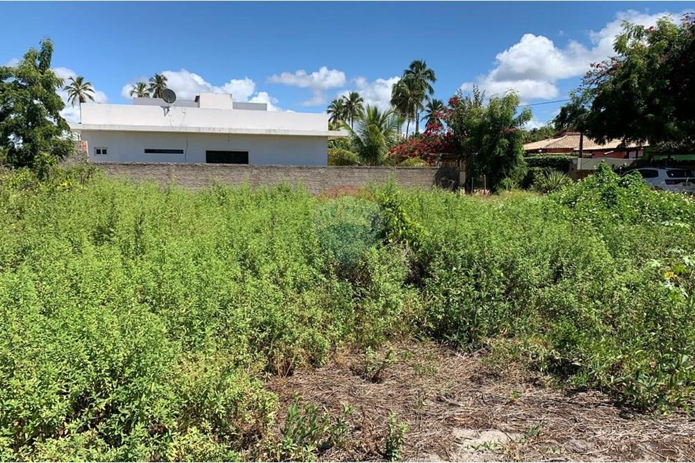 Terreno - Venda - Porto de Pedras , Alagoas - 21.jpg - 850661038-32