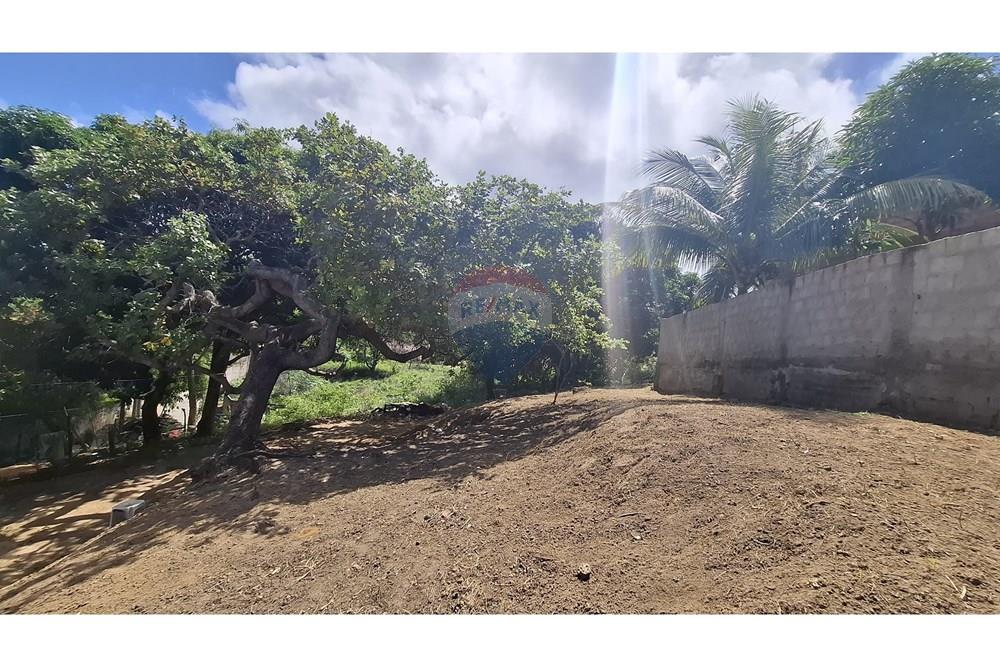 Terreno - Venda - Maceió , Alagoas - WhatsApp Image 2025-07-28 at 16.16.57.jpeg - 850271246-1