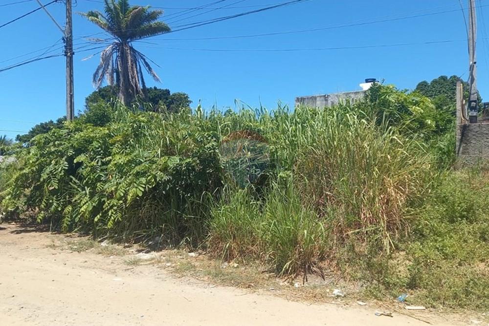 Terreno - Venda - Cabo de Santo Agostinho , Pernambuco - WhatsApp Image 2025-04-17 at 11.26.12.jpeg - 850501012-263