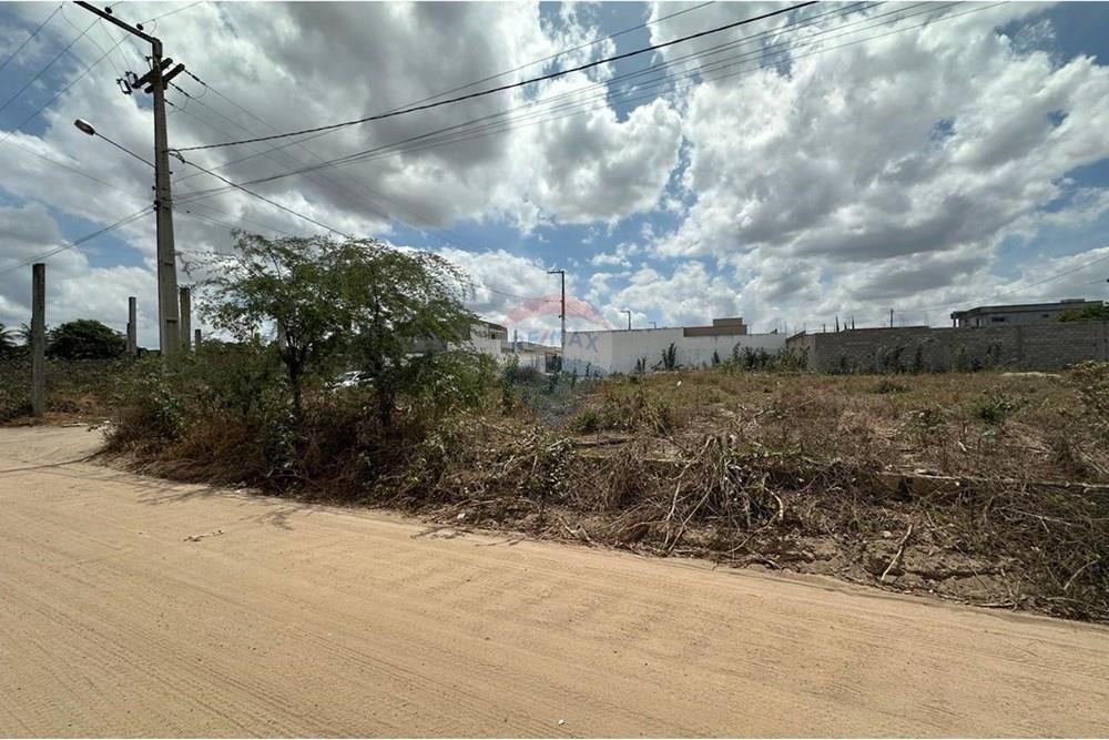 Terreno - Venda - Lajedo , Pernambuco - WhatsApp Image 2024-12-03 at 21.00.08 (5).jpeg - 850131003-359