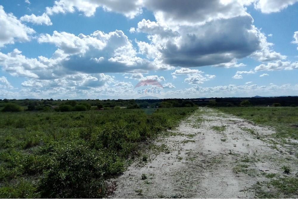 Chácara / Sítio / Fazenda - Venda - Lajedo , Pernambuco - IMG_20250415_142841.jpg - 850131018-43