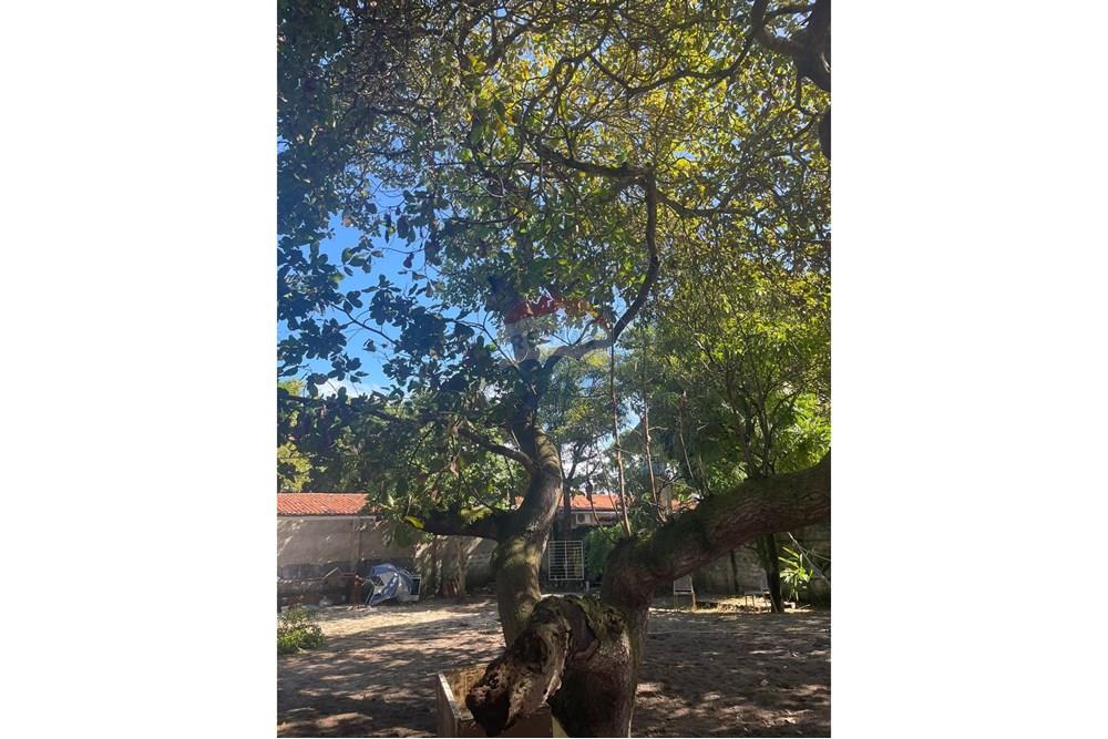 Terreno - Venda - Ipojuca , Pernambuco - IMG-20250613-WA0058.jpg - 850091046-361