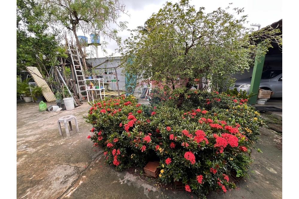 Casa - Venda - Maceió , Alagoas - WhatsApp Image 2025-06-11 at 16.14.32.jpeg - 850271232-1