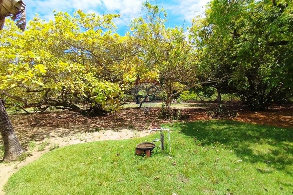 Chácara / Sítio / Fazenda - Venda - Igarassu , Pernambuco - WhatsApp Image 2025-01-23 at 15.11.59 (1).jpeg - 850071019-161