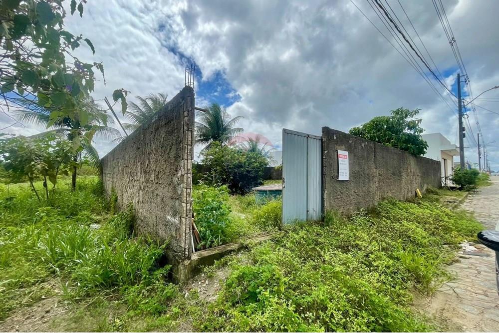 Terreno - Venda - Rio Largo , Alagoas - WhatsApp Image 2025-07-02 at 10.37.33 (1).jpeg - 850271232-6