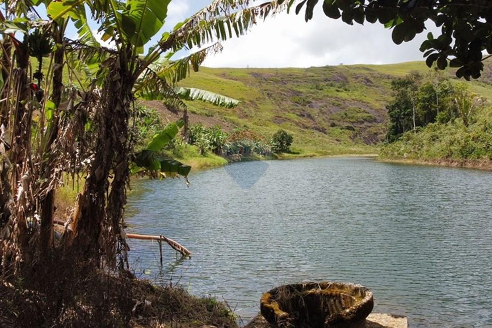 Chácara / Sítio / Fazenda - Venda - Bonito , Pernambuco - WhatsApp Image 2024-12-05 at 15.54.00 (3).jpeg - 850051012-116