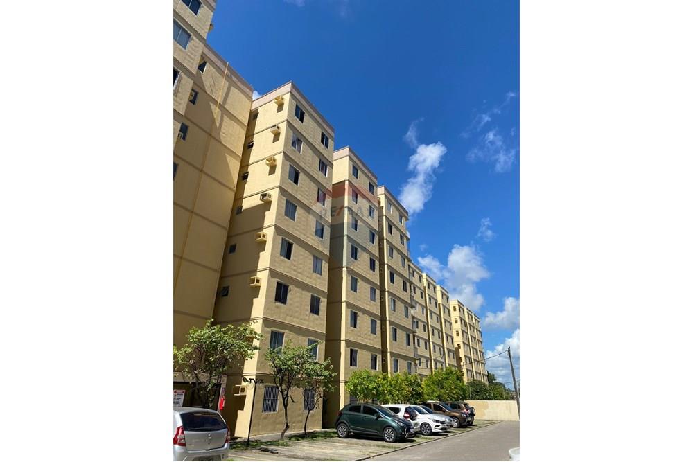 Apartamento - Venda - Olinda , Pernambuco - WhatsApp Image 2024-01-17 at 13.30.31.jpeg - 850301001-366