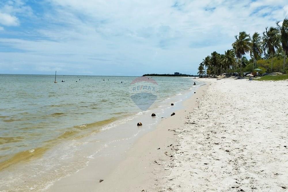 Chácara / Sítio / Fazenda - Venda - Igarassu , Pernambuco - WhatsApp Image 2025-01-23 at 15.11.55 (2).jpeg - 850071019-161