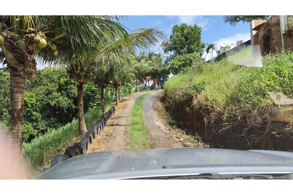 Chácara / Sítio / Fazenda - Venda - Maceió , Alagoas - HARAS29.jpg - 850141043-95