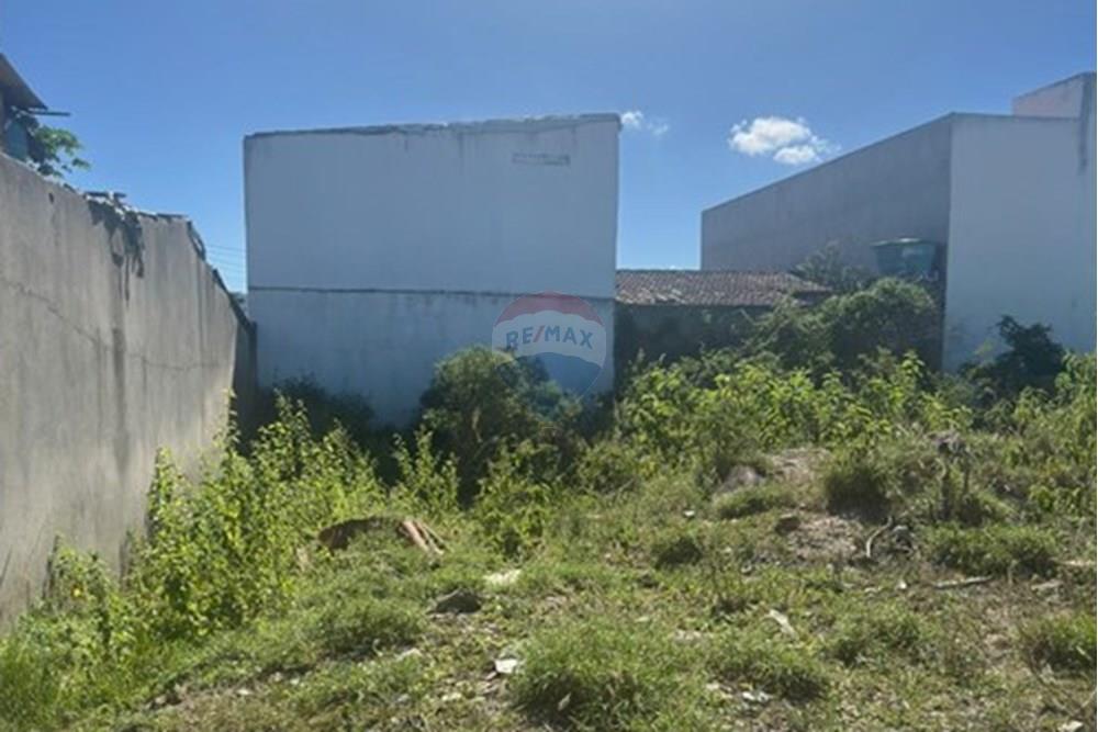 Terreno - Venda - Caruaru , Pernambuco - WhatsApp Image 2025-05-14 at 11.52.48 (2).jpeg - 850161060-25