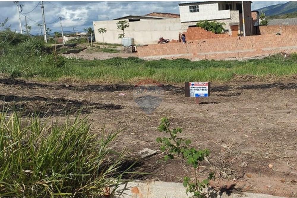 Terreno - Venda - Bonito , Pernambuco - Imagem do WhatsApp de 2025-02-25 à(s) 08.41.25_8b22fe61.jpg - 850051012-94