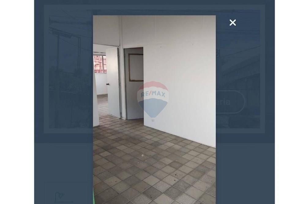 Prédio - Alugar - Jaboatão dos Guararapes , Pernambuco - WhatsApp Image 2025-05-06 at 12.16.15.jpeg - 850721002-95