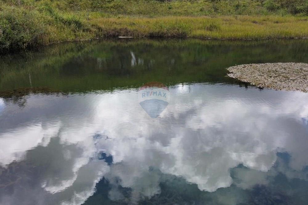 Chácara / Sítio / Fazenda - Venda - Bonito , Pernambuco - WhatsApp Image 2024-12-05 at 15.53.59 (3).jpeg - 850051012-116