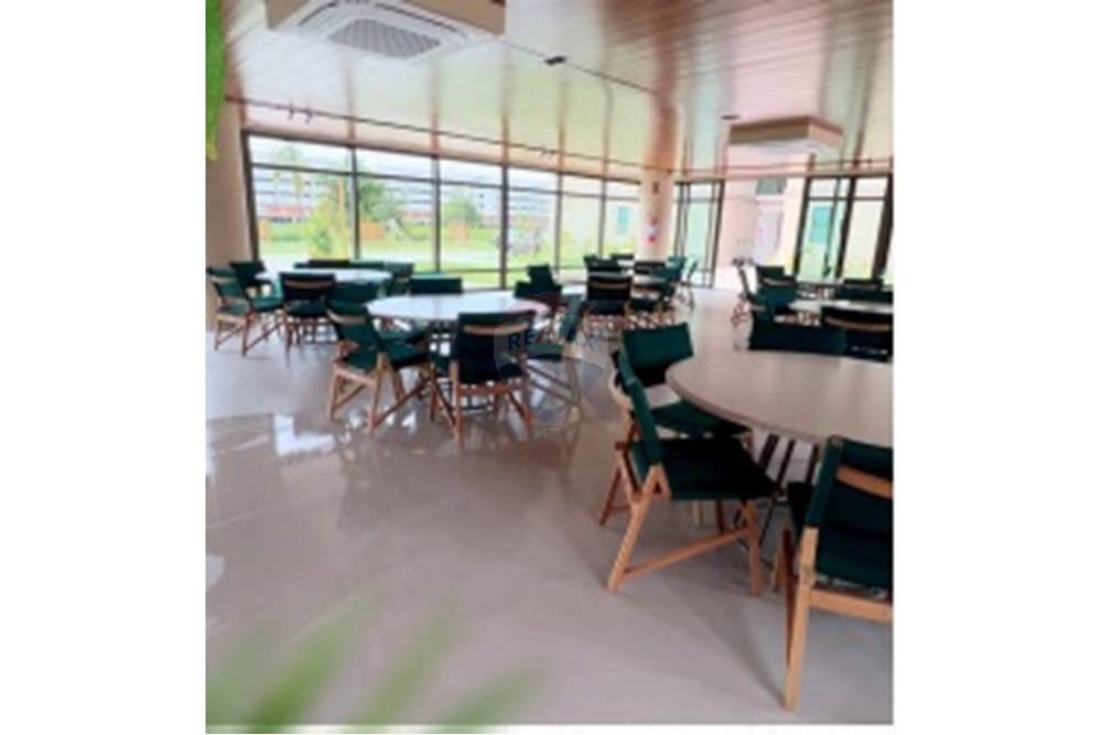 Apartamento - Venda - Ipojuca , Pernambuco - WhatsApp Image 2025-09-12 at 12.20.25.jpeg - 850221002-291