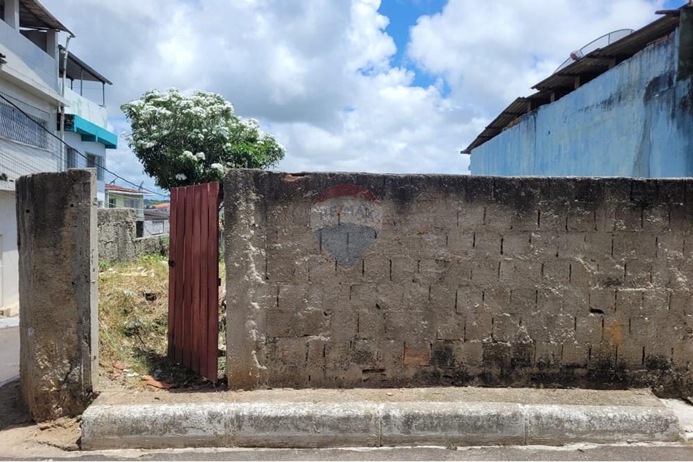 Terreno - Venda - Cabo de Santo Agostinho , Pernambuco - WhatsApp Image 2024-11-08 at 15.24.49.jpeg - 850281001-3