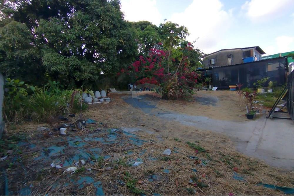 Terreno - Venda - Paulista , Pernambuco - WhatsApp Image 2024-11-30 at 16.35.16 (1).jpeg - 850721002-53