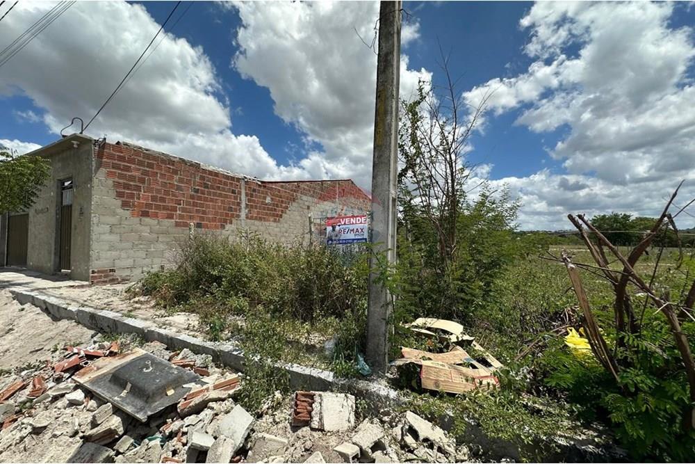 Terreno - Venda - Lajedo , Pernambuco - WhatsApp Image 2025-03-23 at 23.00.16 (2).jpeg - 850131003-421