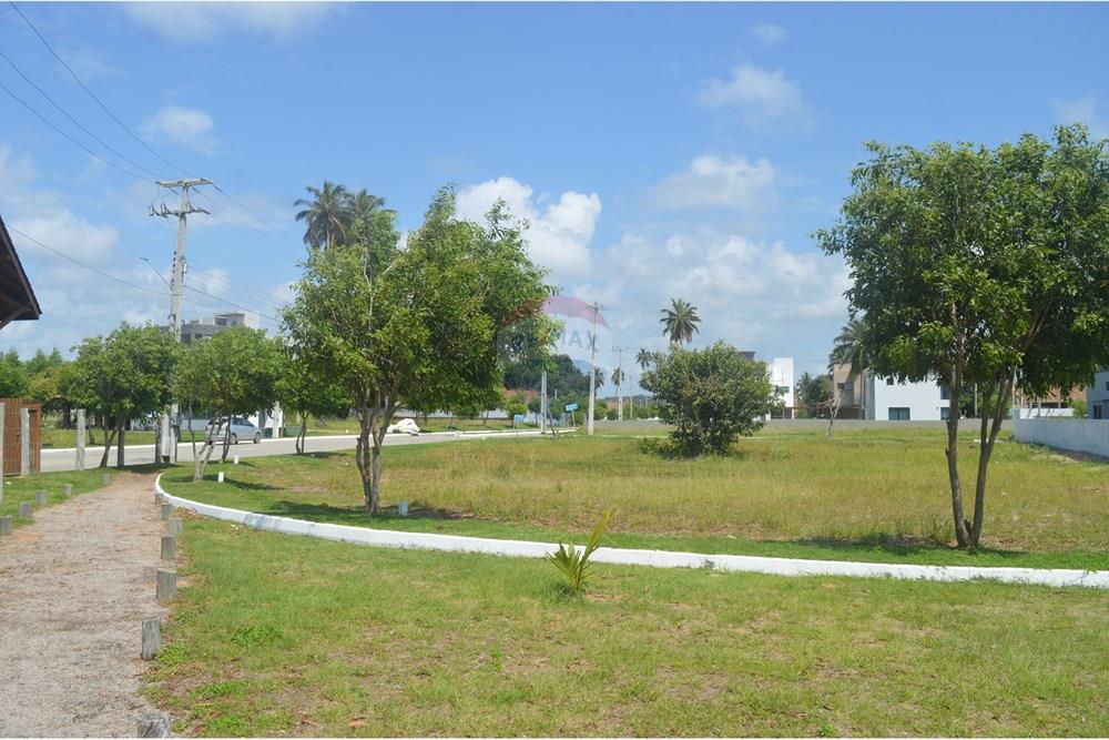 Terreno - Venda - Japaratinga , Alagoas - SAVE_20250916_143902.jpg - 850291008-90