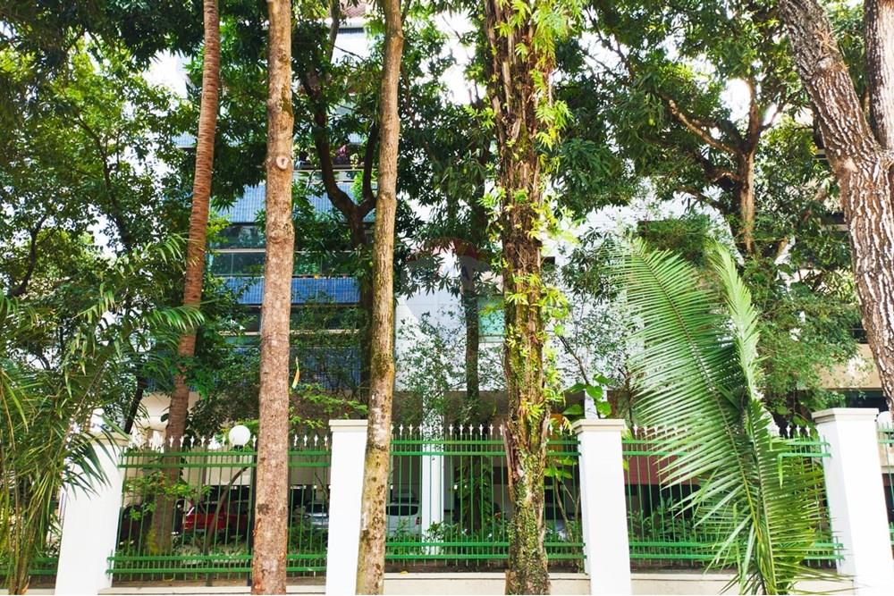 Apartamento - Venda - Recife , Pernambuco - WhatsApp Image 2025-01-16 at 12.58.21 (4).jpeg - 850071032-58