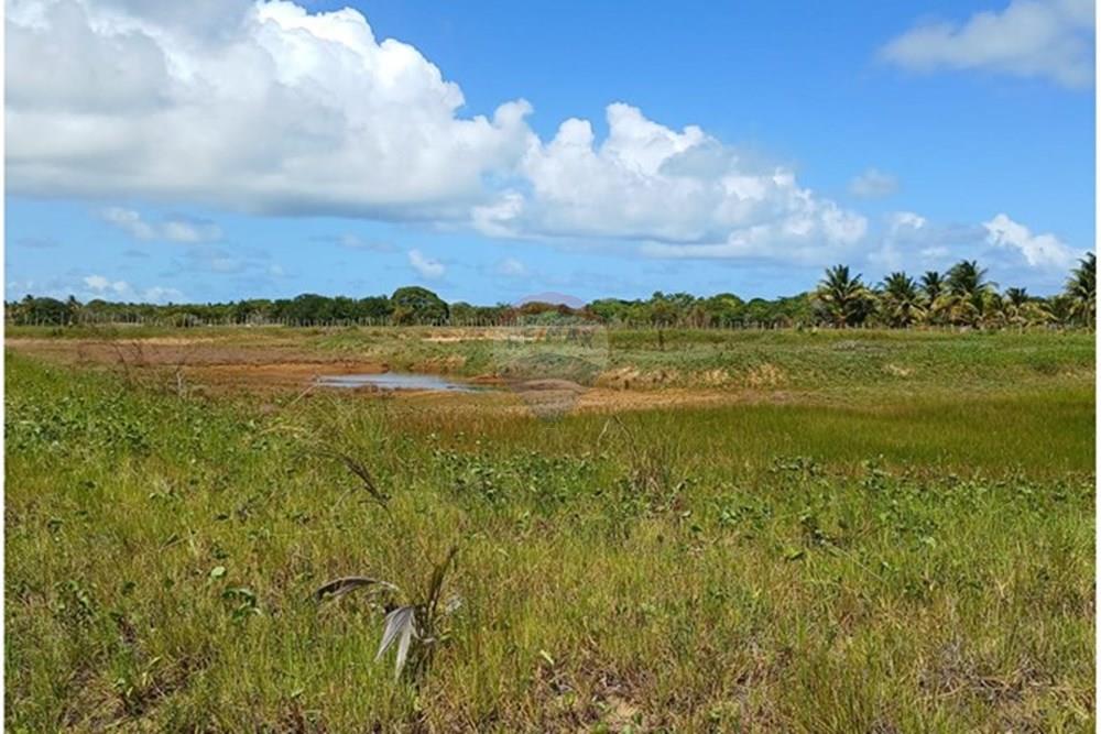 Chácara / Sítio / Fazenda - Venda - Piaçabuçu , Alagoas - IMG-20250221-WA0105.jpg - 850271205-15